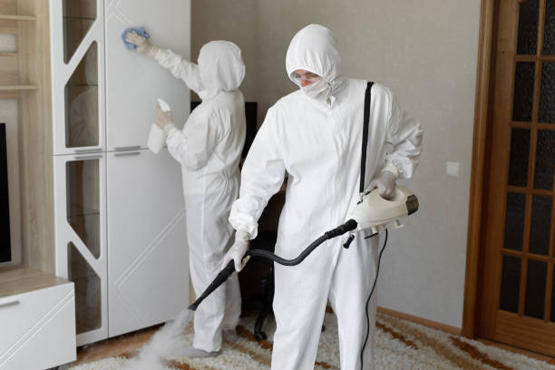 Best Commercial Mold Remediation in Mcpherson, KS