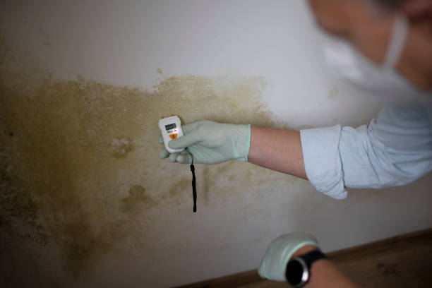Best Health and Safety Mold Remediation in Mcpherson, KS